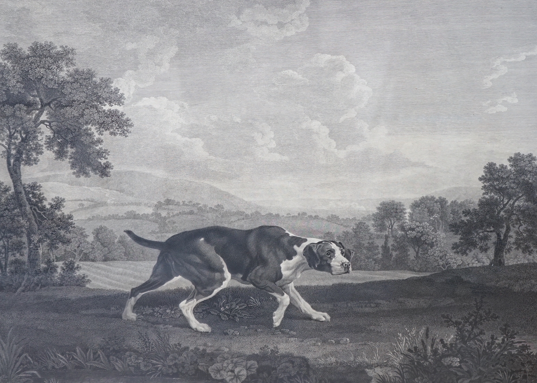 After George Stubbs (1724-1806), engraving, 'The Spanish pointer', limited edition 55/225, publ. by R H Laurie, Fleet Street, London, 47 x 56cm